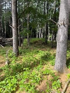 0 Tuttle Ln Bridgton, ME 04009 - Thumbnail 2