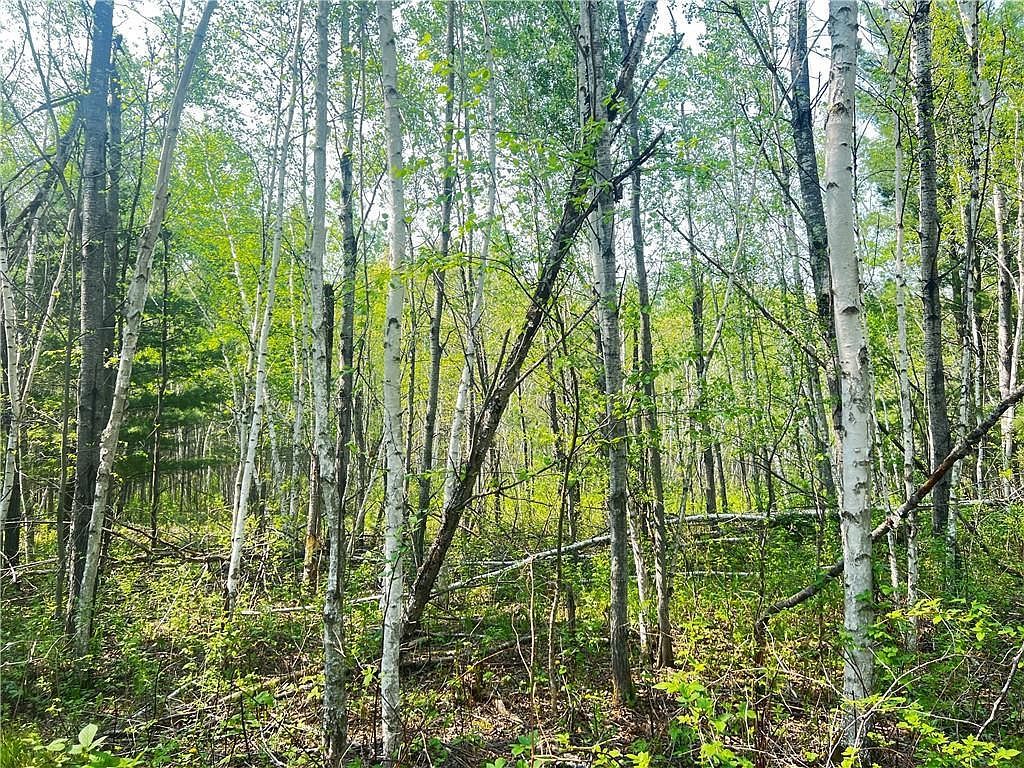 LOT 12 25 1/2 St Chetek, WI 54728 - Thumbnail 2