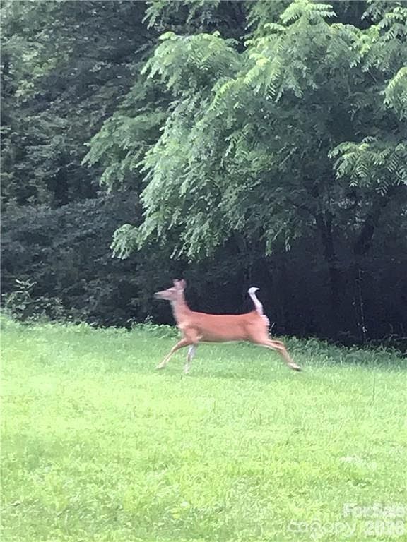 19 Laurel Loop Rd Fairview, NC 28730 - Thumbnail 2