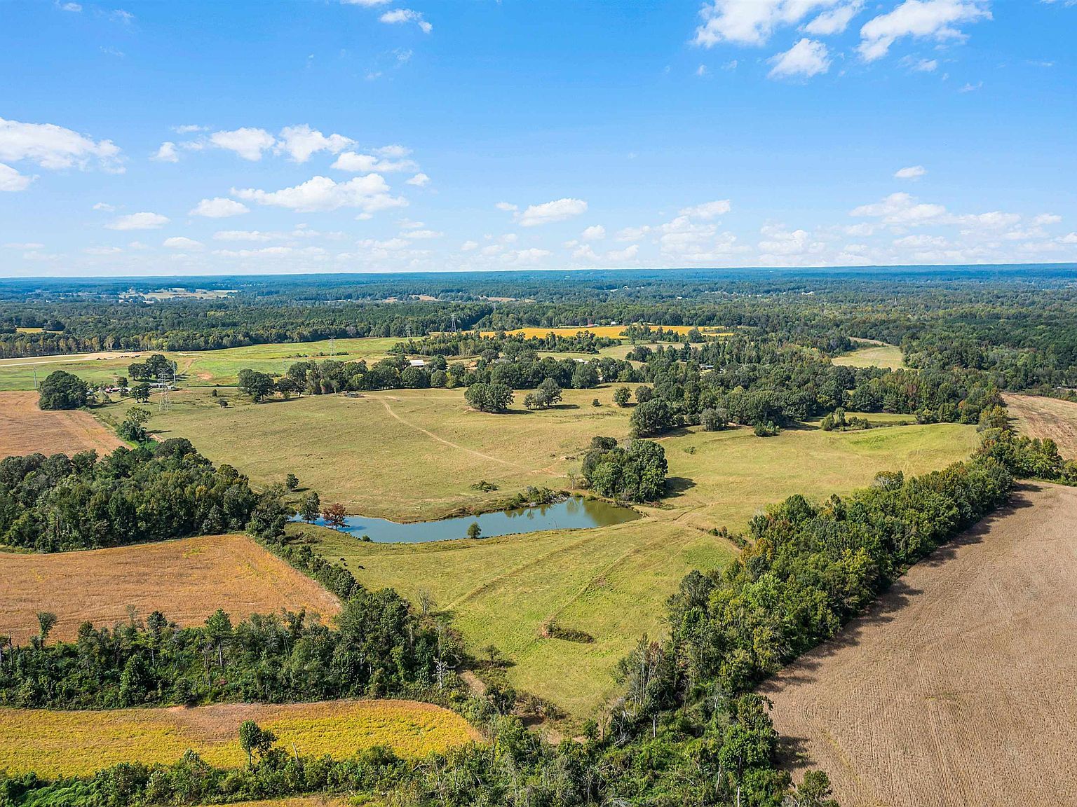 1 Timberlake Wildersville Rd Lexington, TN 38351 - Thumbnail 2