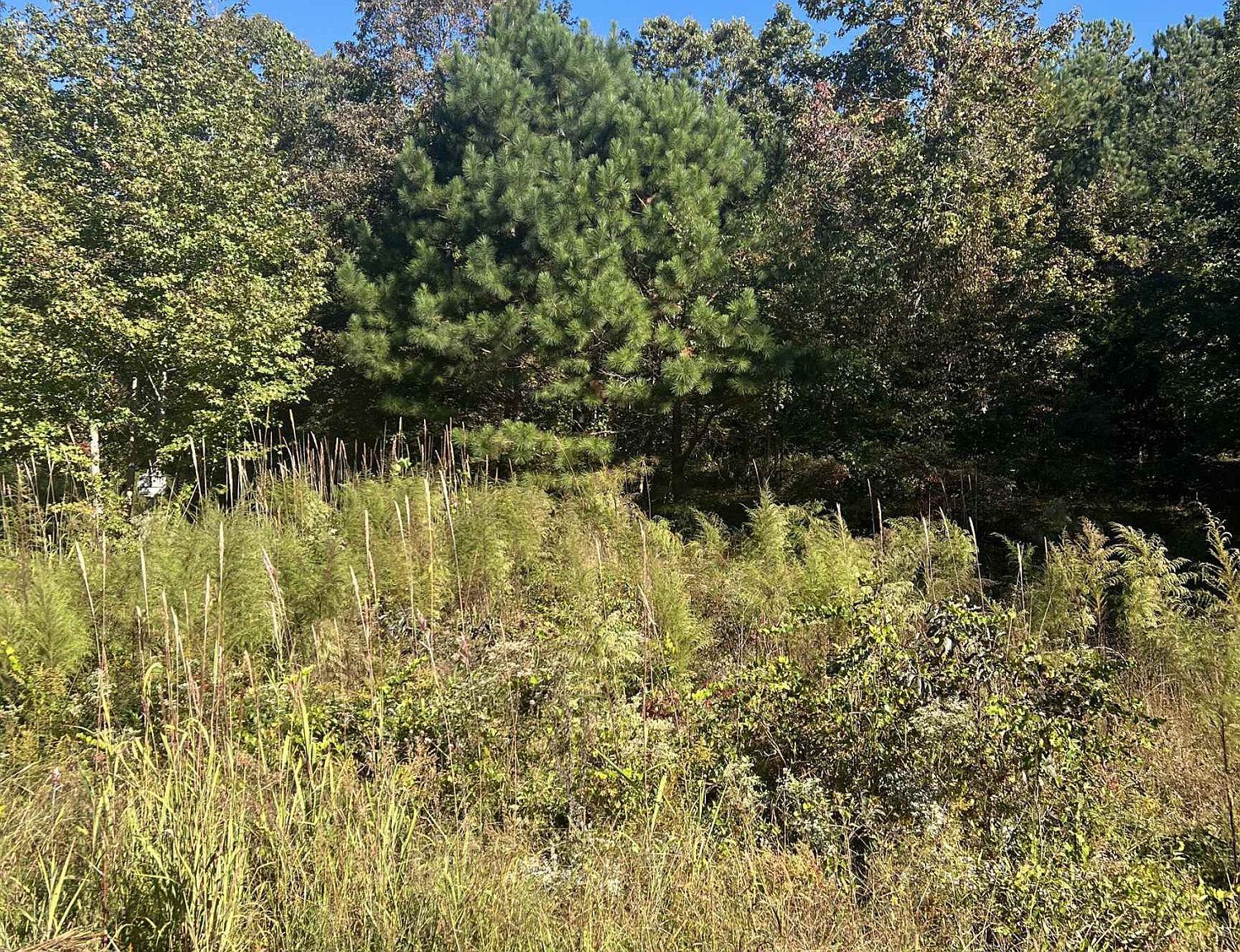 103 Oak Point Dr Lexington, TN 38351 - Thumbnail 2