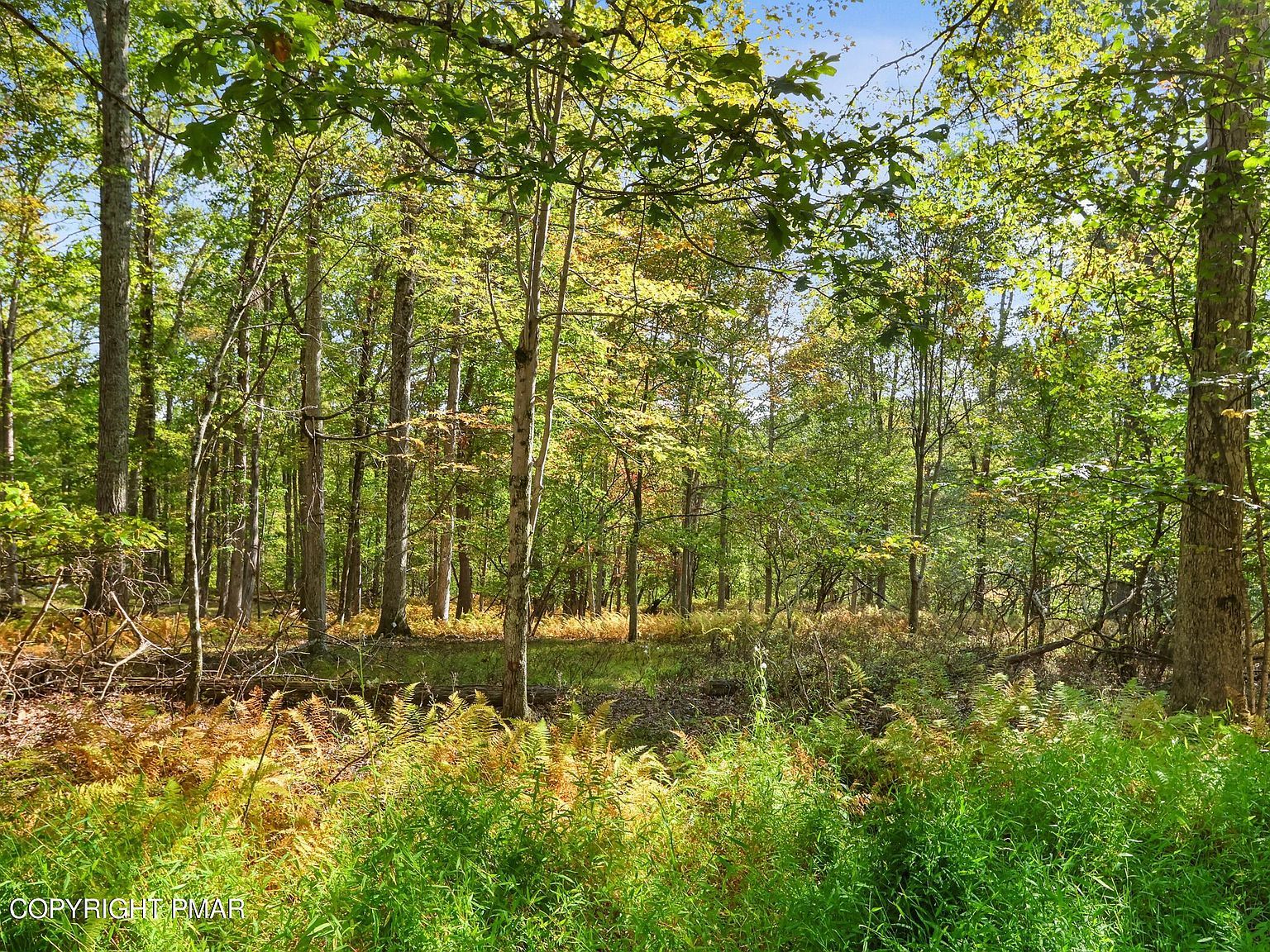 Spring Run Dr #17 Cresco, PA 18326 - Thumbnail 2