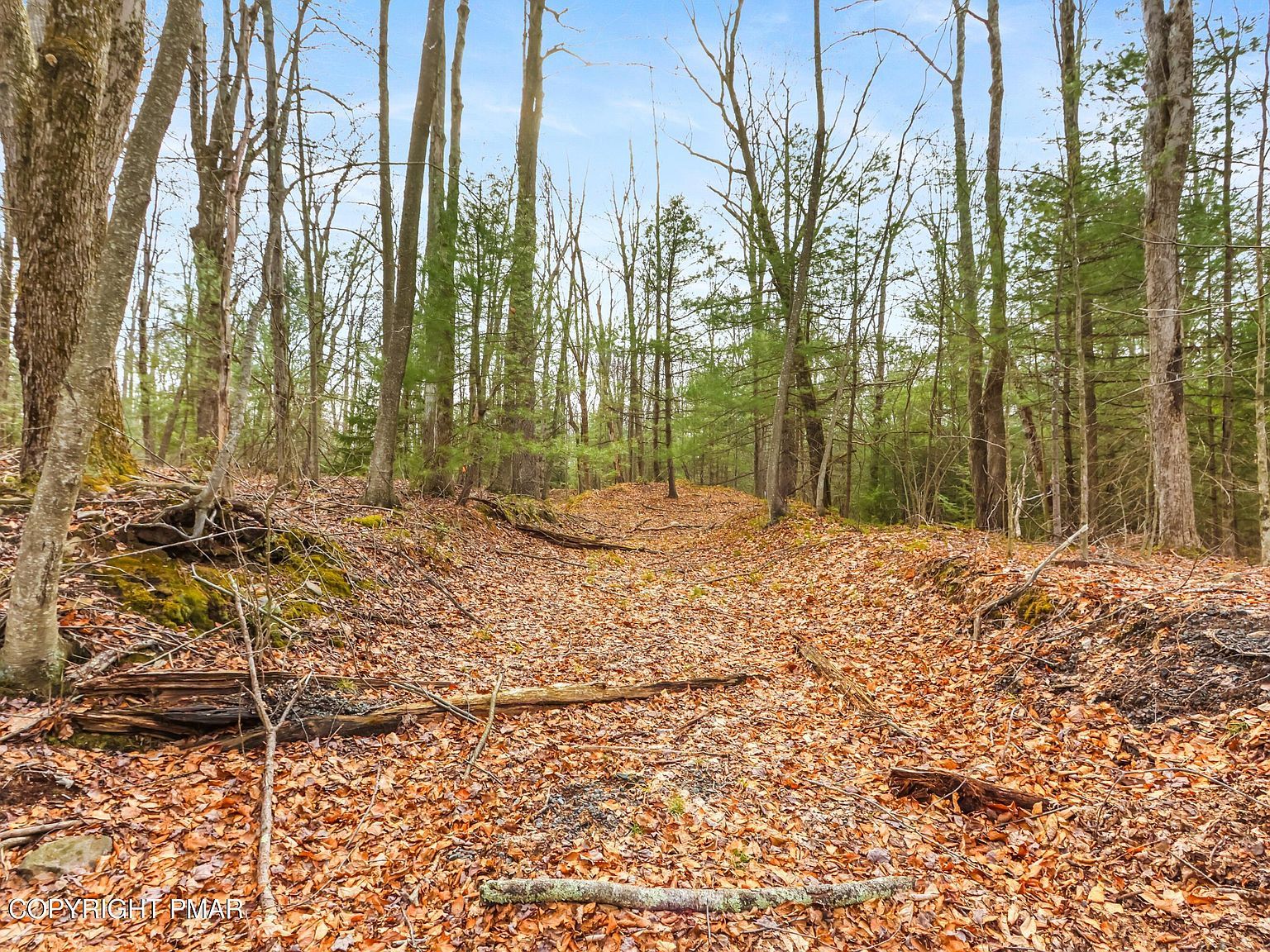 Onondaga Rd Long Pond, PA 18334  | Land/Lot