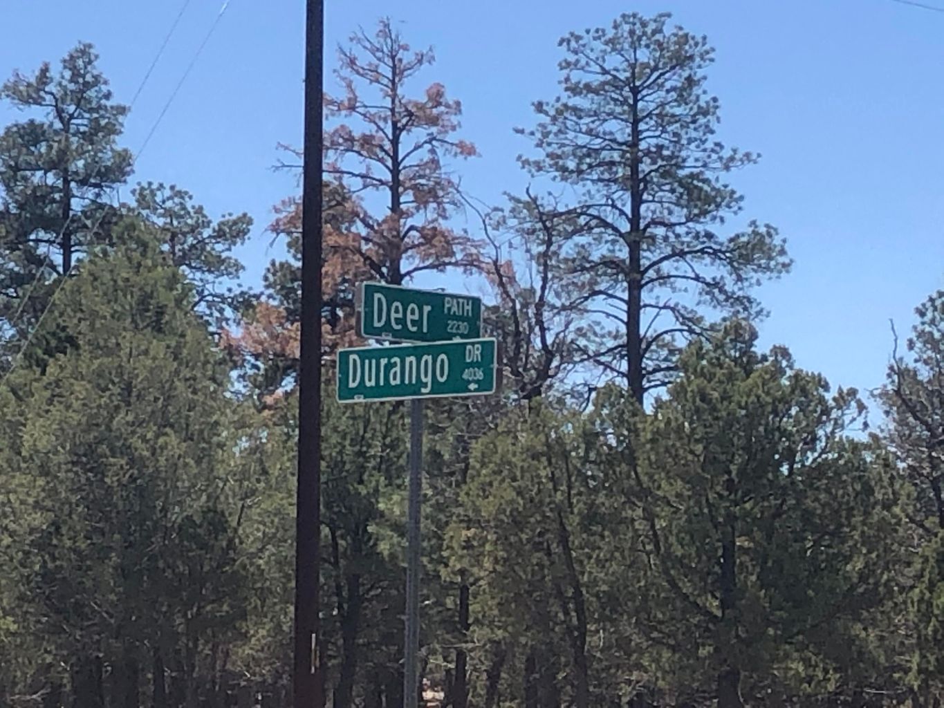 4024 Durango Drive, Happy Jack, AZ, USA, Happy Jack, AZ, 86024 - Thumbnail 2