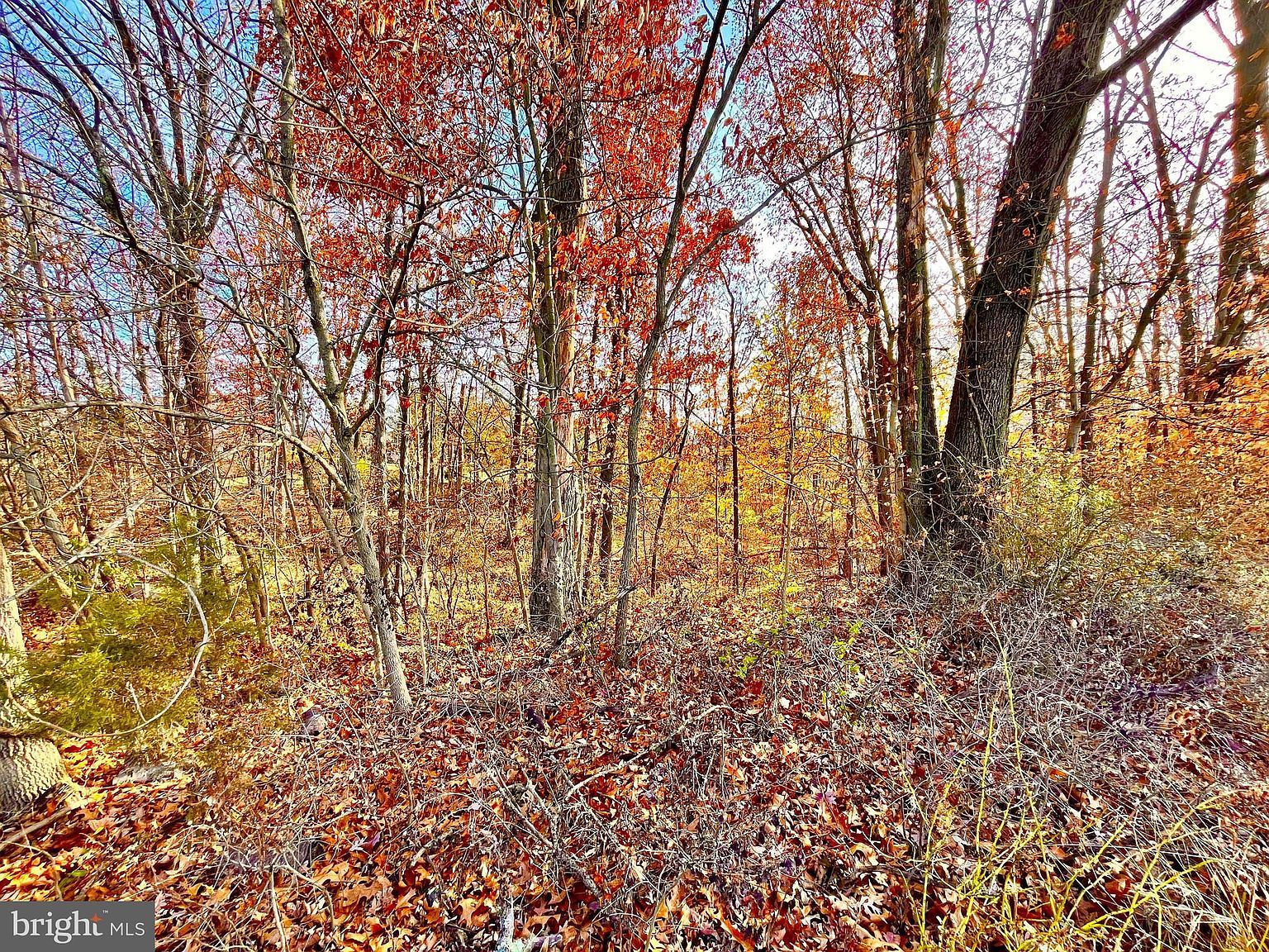 0 Brooke Rd Pottstown, PA 19464 - Thumbnail 2