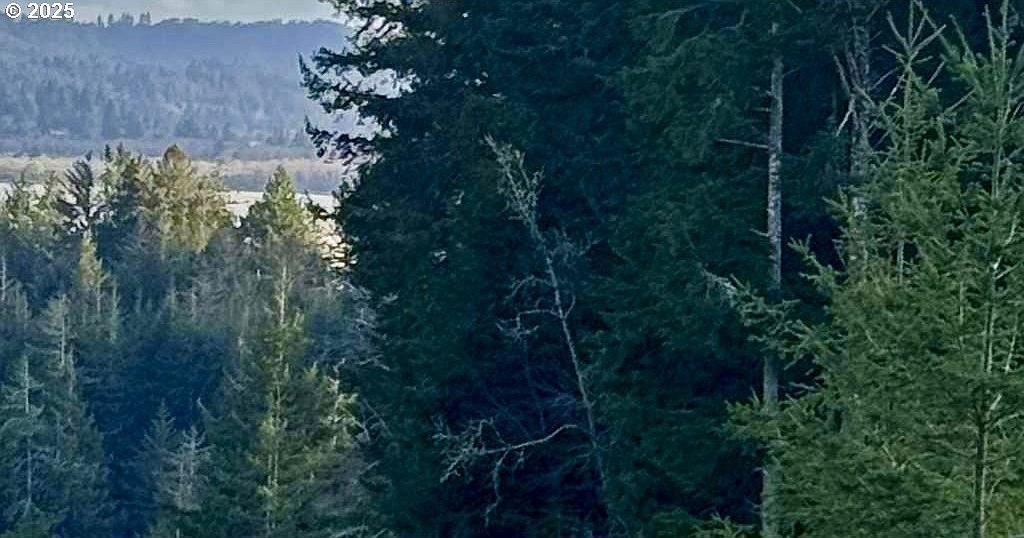 0 E Bay Rd Coos Bay, OR 97420 - Thumbnail 2