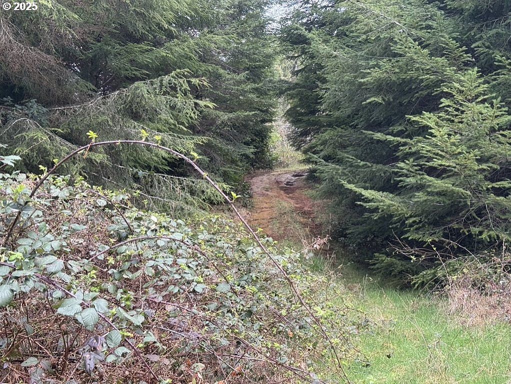 0 Wildberry Rd Coos Bay, OR 97420 - Thumbnail 2