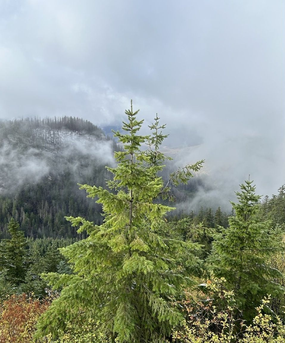 0 Calapooia Rd Sweet Home, OR 97386 - Thumbnail 2