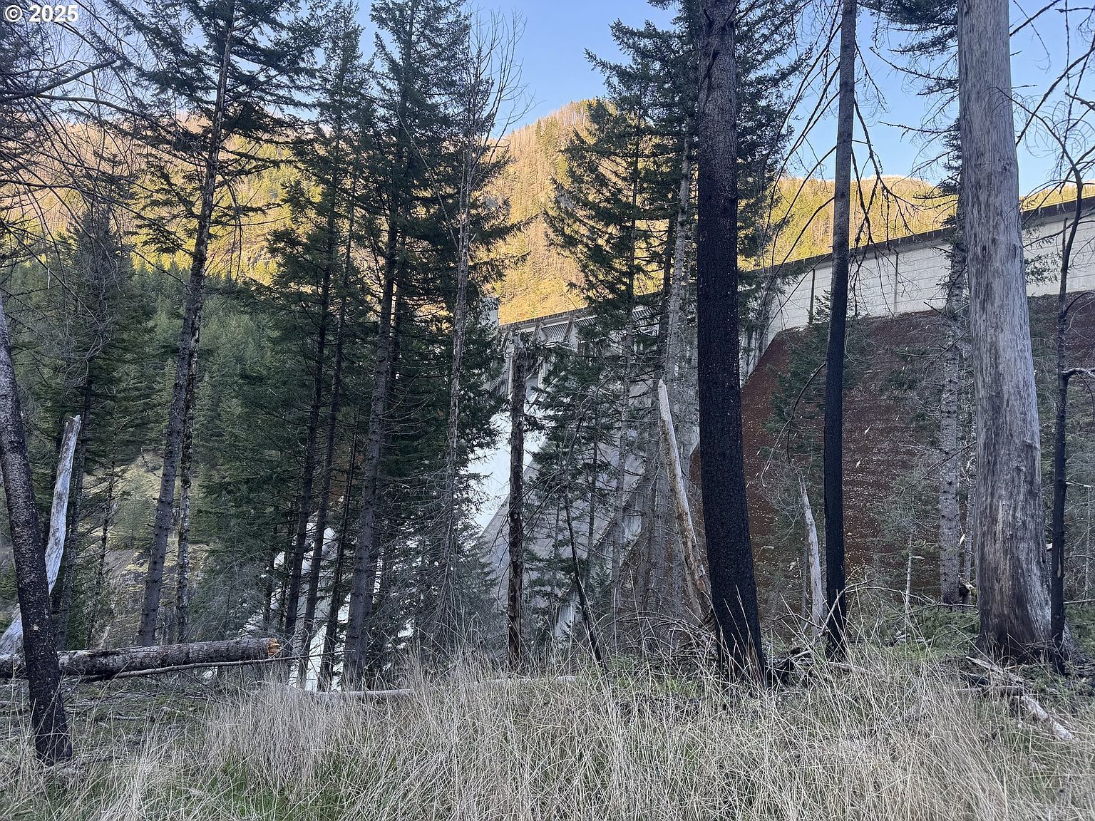 0 Nf #2212 Gates, OR 97346 - Thumbnail 2