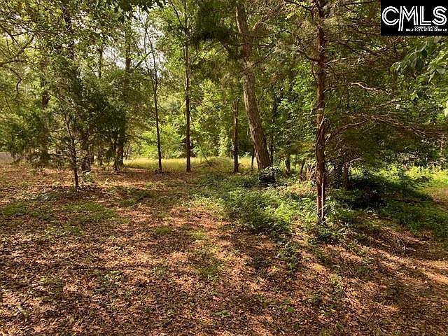 436 Peach Festival Rd Gilbert, SC 29054 - Thumbnail 2