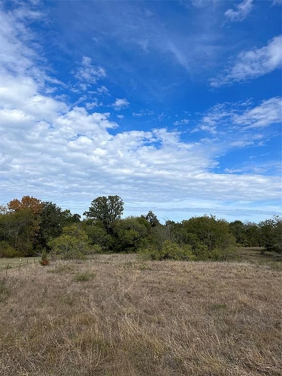 63 Hadley Creek Bnd Huntsville, TX 77320 - Thumbnail 2