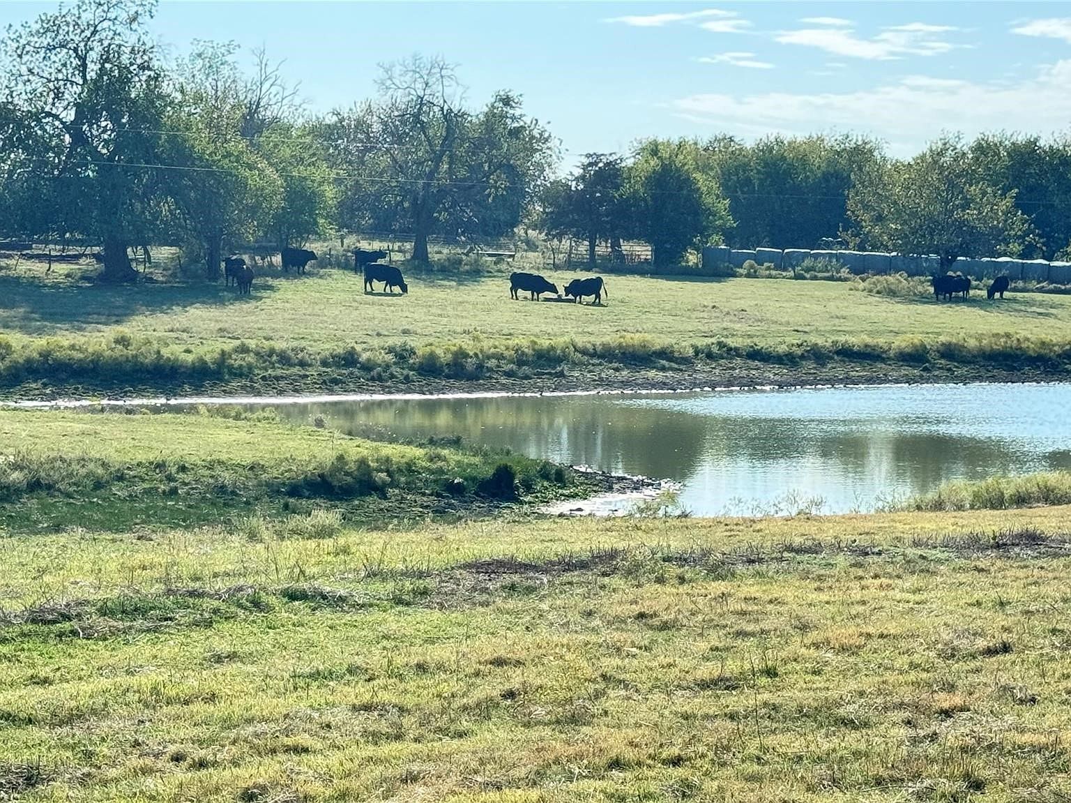 1258 County Road 352 Gainesville, TX 76240 - Thumbnail 2