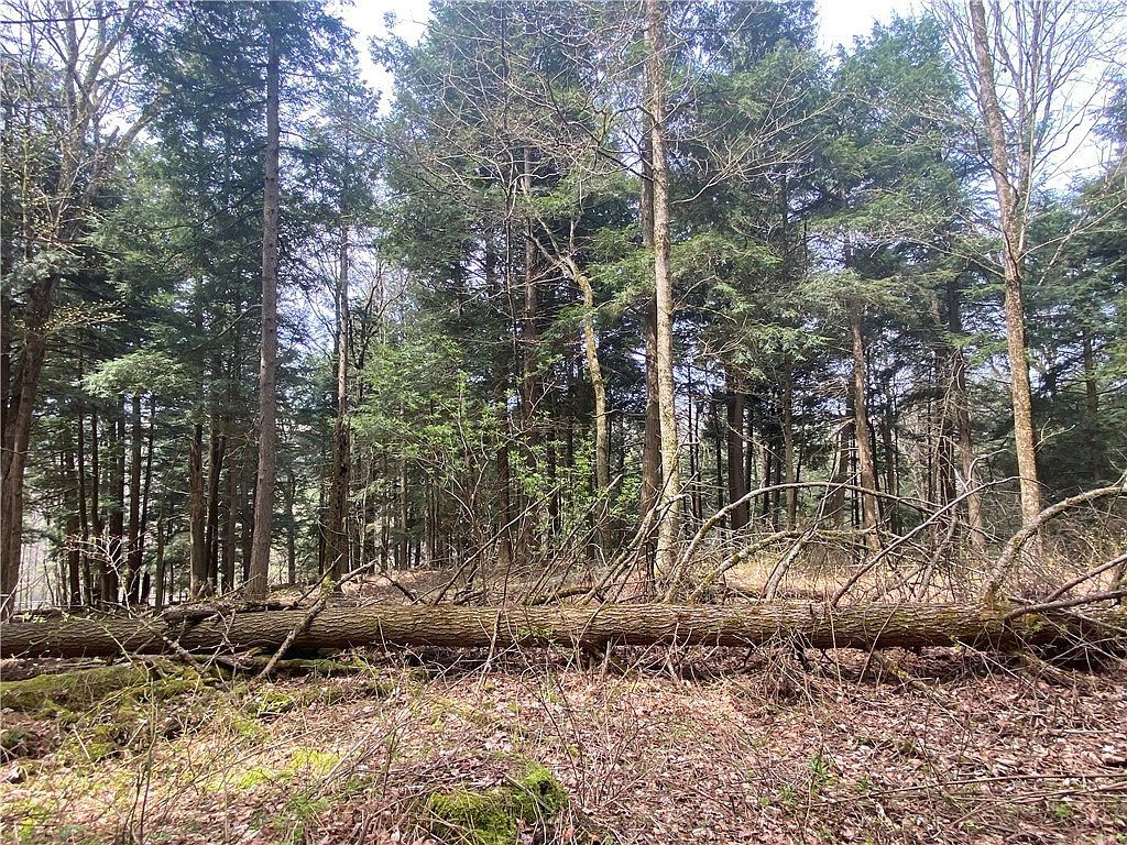 LOT A Piermott Ln #45 Hartwick, NY 13348 - Thumbnail 2