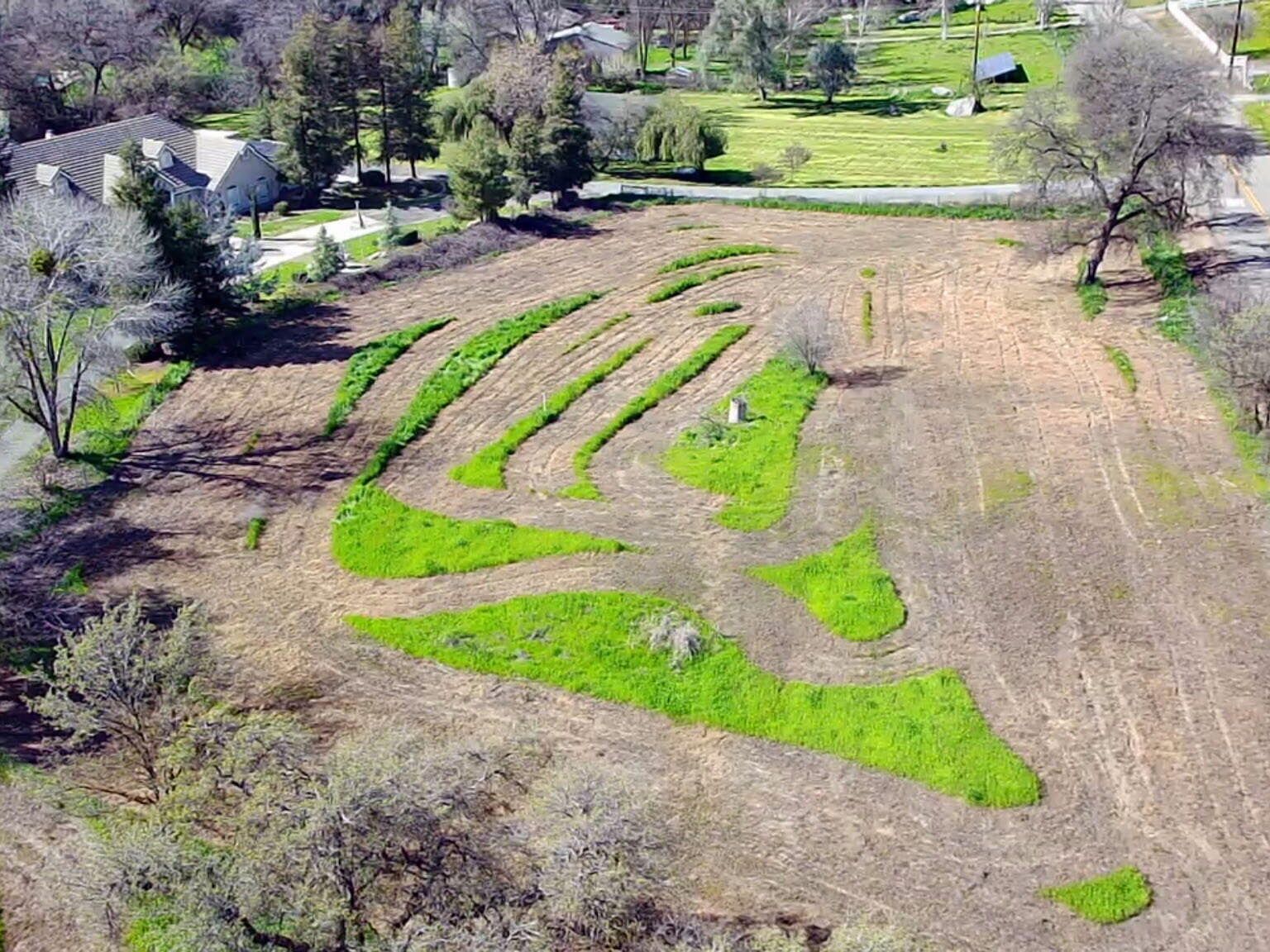 0 Tule Oak Dr Springville, CA 93265 - Thumbnail 2