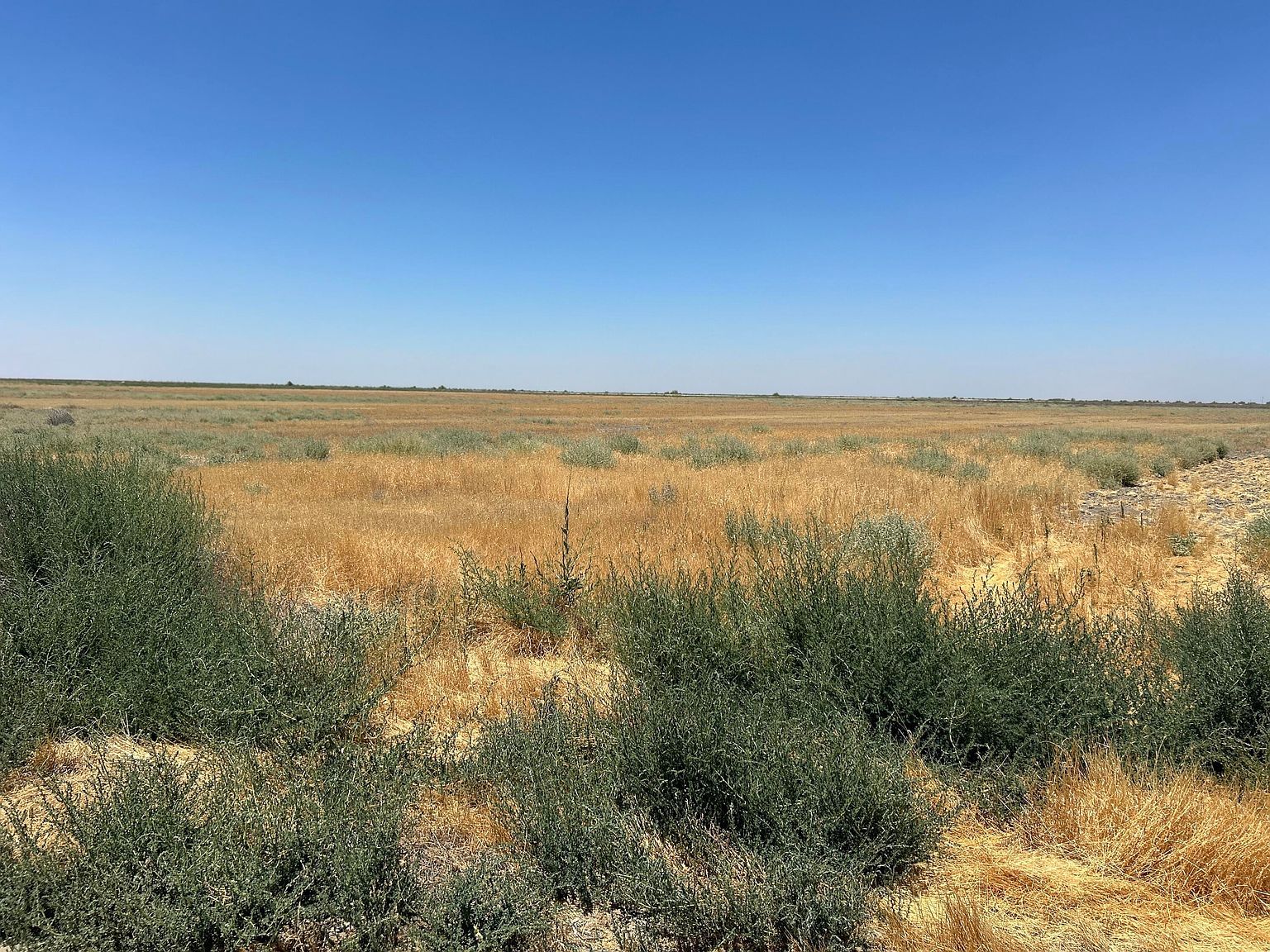 56 Avenue Alpaugh, CA 93201 - Thumbnail 2