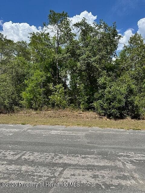 2235 W Summer Pl Citrus Springs, FL 34434 - Thumbnail 2