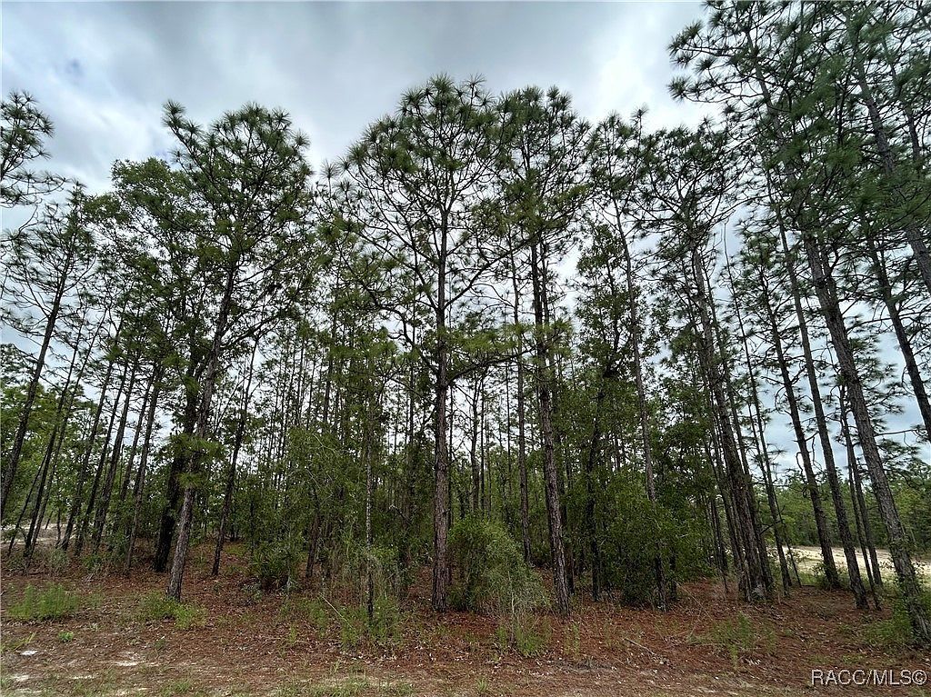 0 Mellon Rd Brooksville, FL 34614 - Thumbnail 2