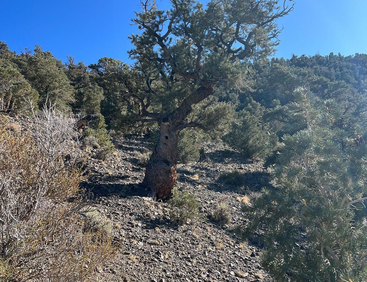 Apn #665121 Hawthorne, NV 89415 - Thumbnail 2