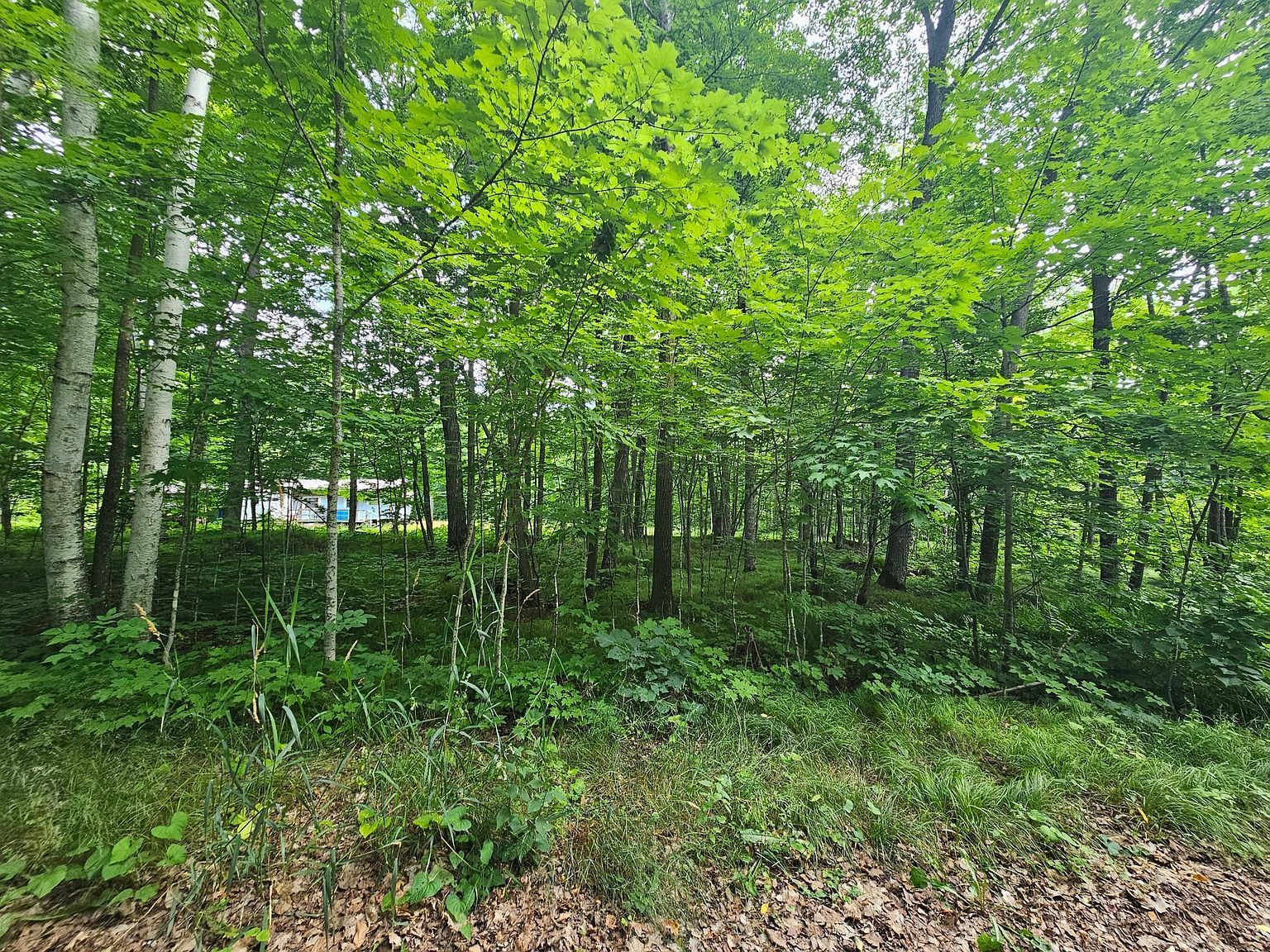 28017 303rd Pl Aitkin, MN 56431 - Thumbnail 2