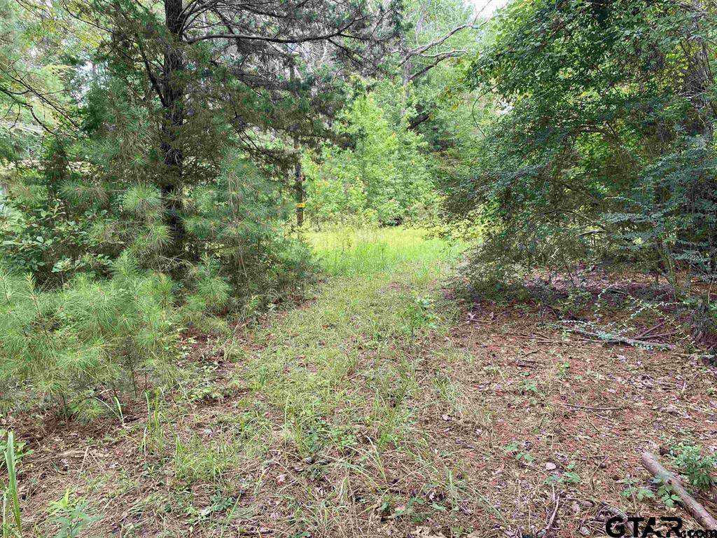 TBD Cr 4609 (Parcel 4), Troup, TX, 75789  | Land/Lot