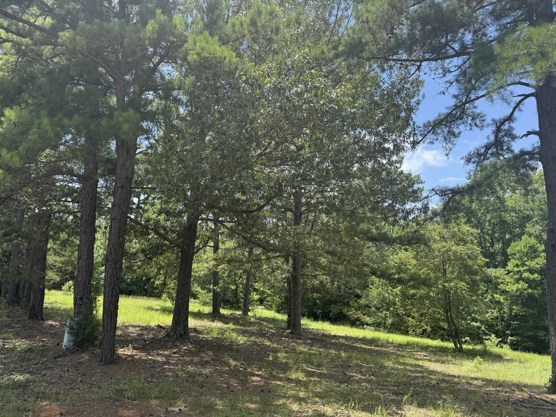 19488 Copperoaks Dr, Tyler, TX 75703, USA | Land/Lot