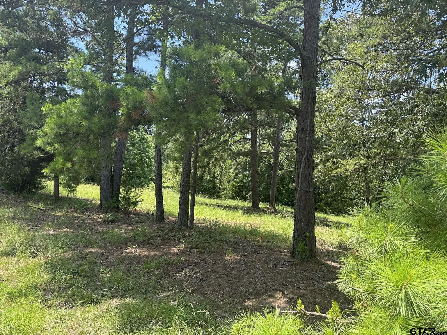 19488 Copperoaks Dr Tyler, TX 75703 - Thumbnail 2