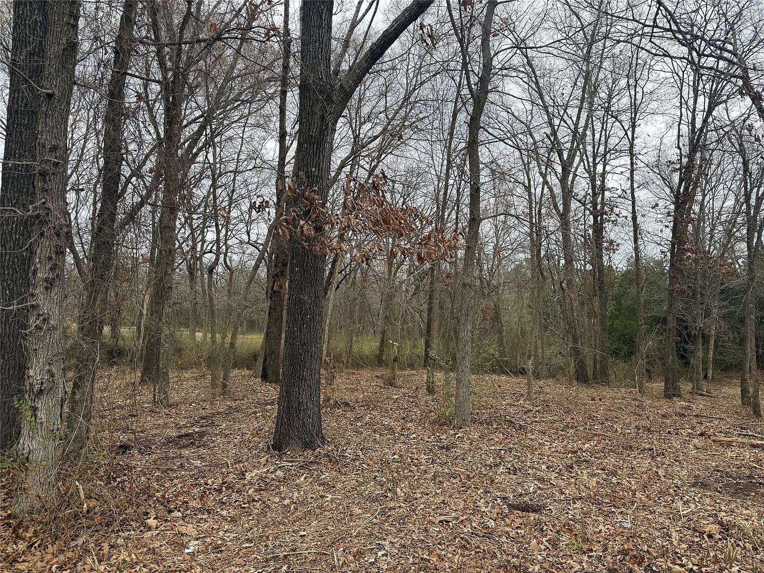 LOT 8 N Florence St Grand Saline, TX 75140  | Land/Lot