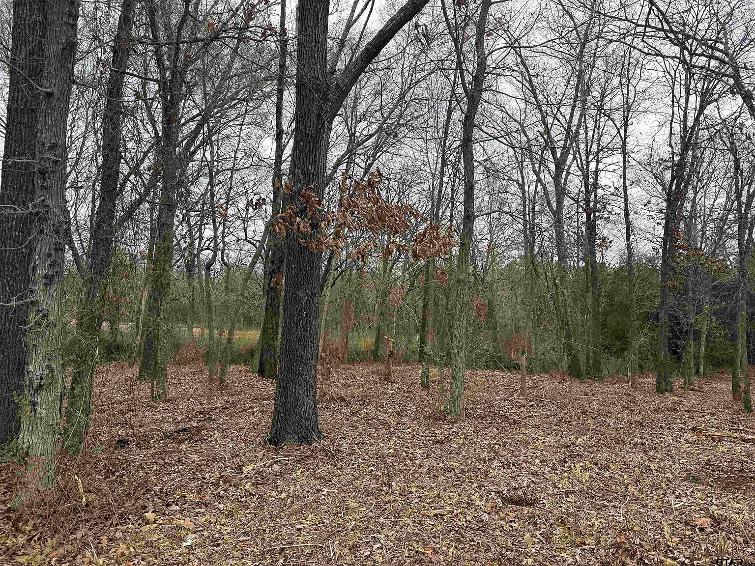 N Florence St Lot 8 Grand Saline, TX 75140  | Land/Lot