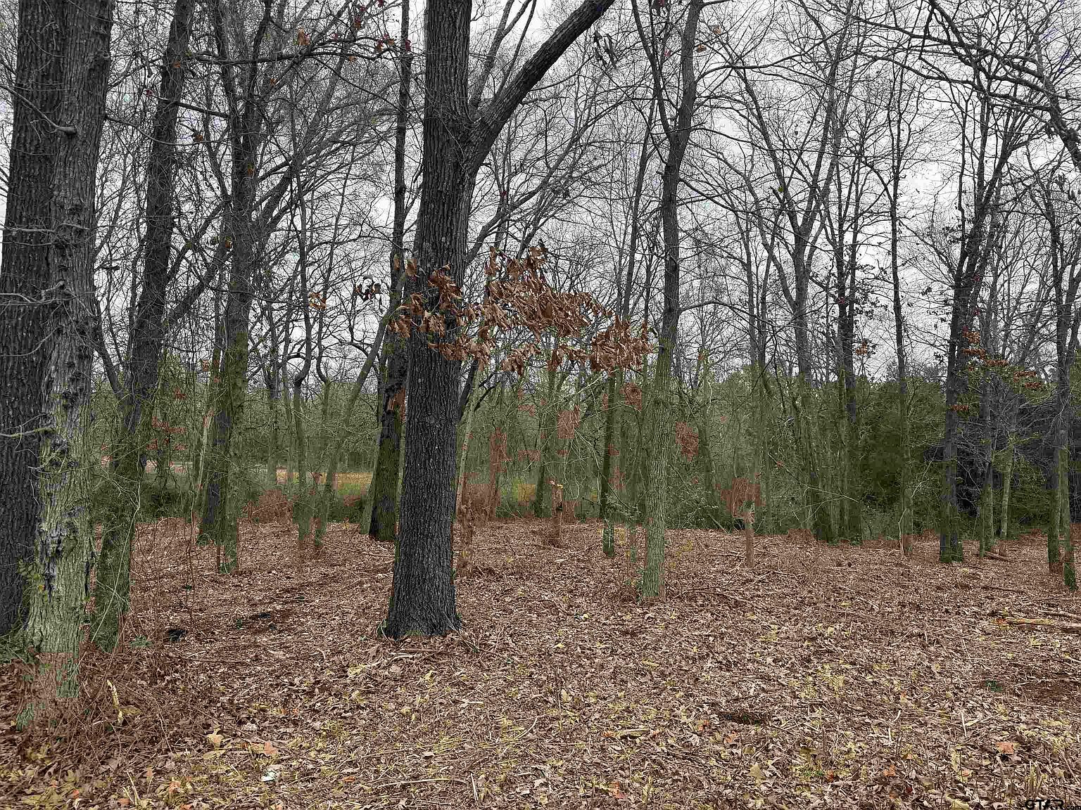 N Florence St Lot 7 Grand Saline, TX 75140  | Land/Lot