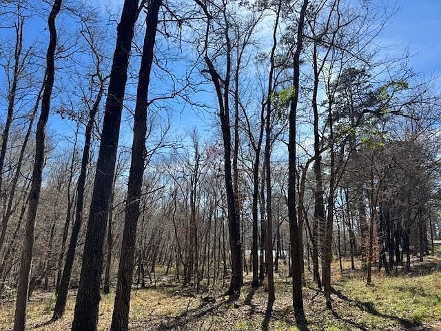 An County Rd #319 Frankston, TX 75763  | Land/Lot