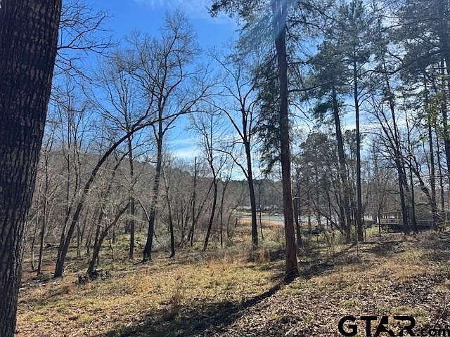 0 An County Rd #319 Frankston, TX 75763  | Land/Lot