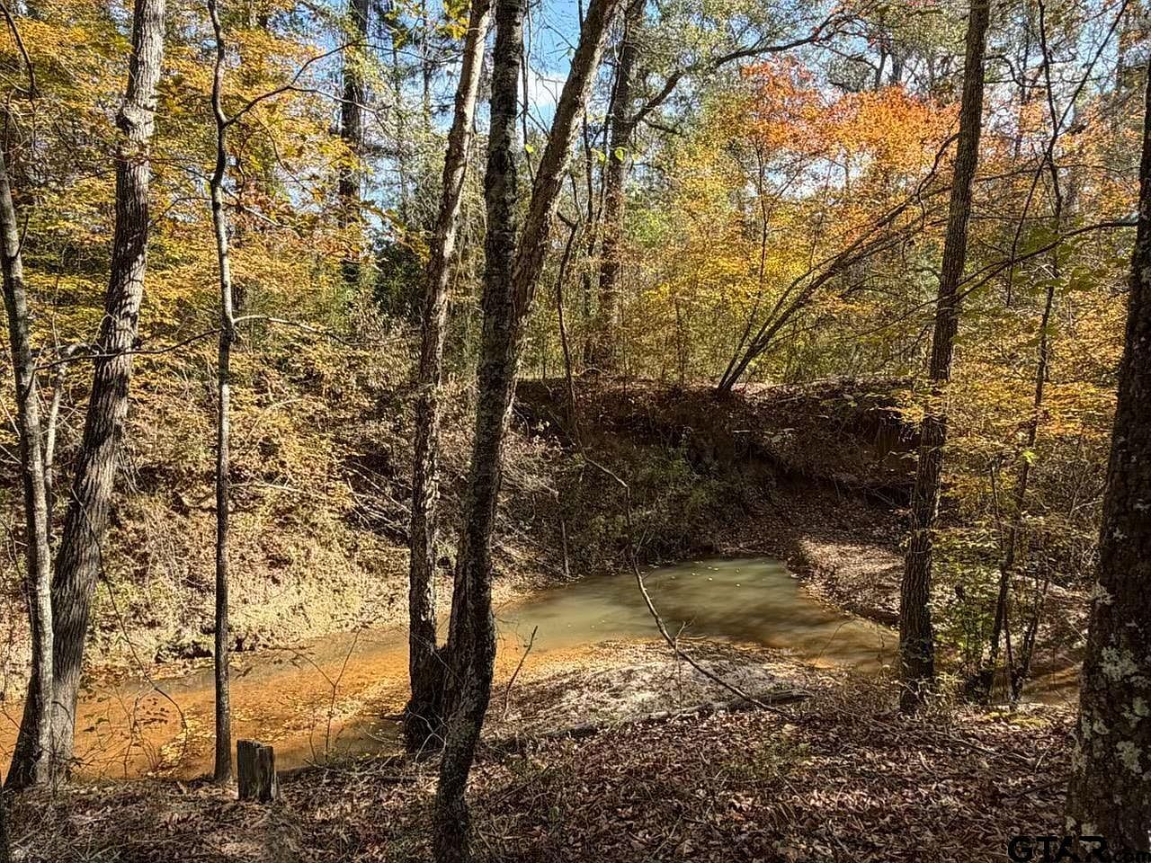 23791 State Highway 64 E #E Troup, TX 75789  | Land/Lot