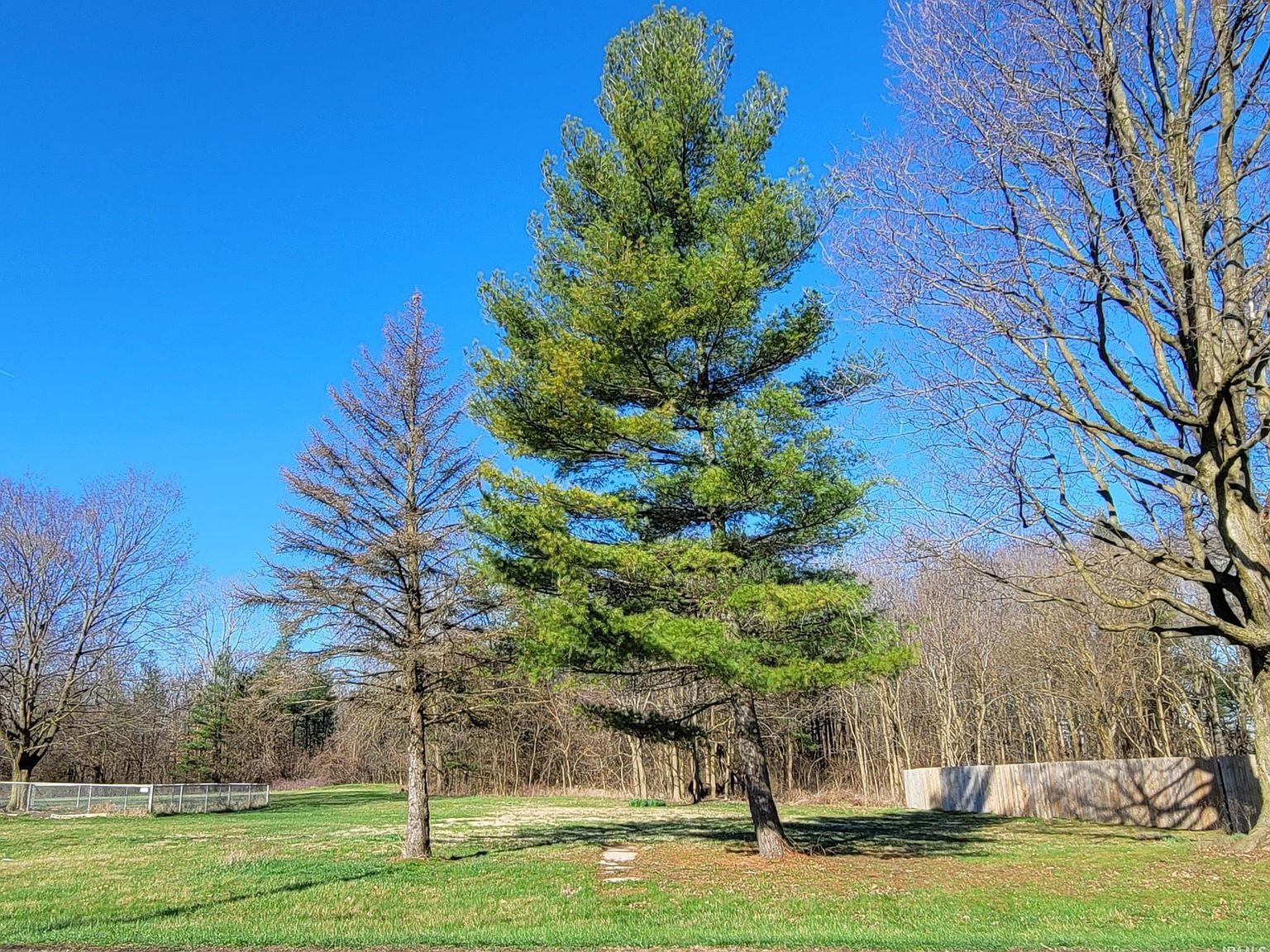 404 S Jefferson St Silver Lake, IN 46982 - Thumbnail 2