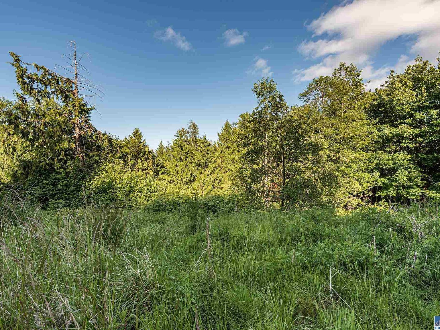 9999 Elk Pass Rd Sequim, WA 98382 - Thumbnail 2