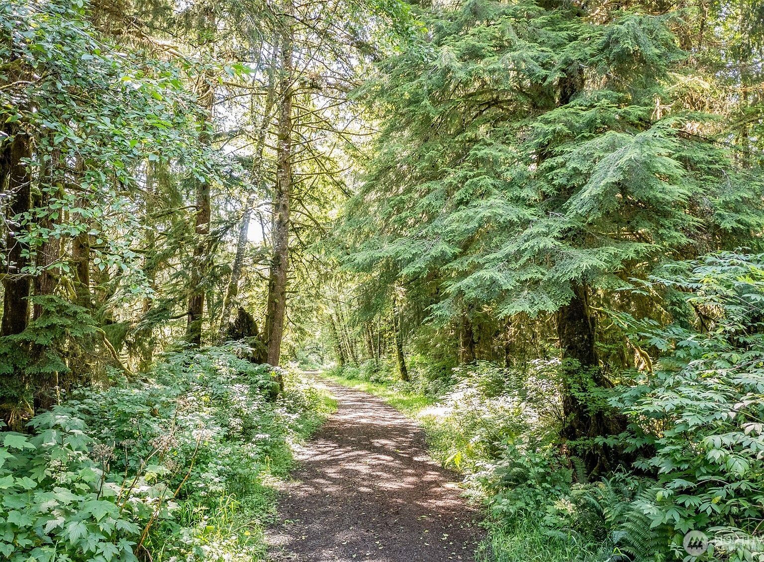 1 SW Amp Rdg Sekiu, WA 98381 - Thumbnail 2