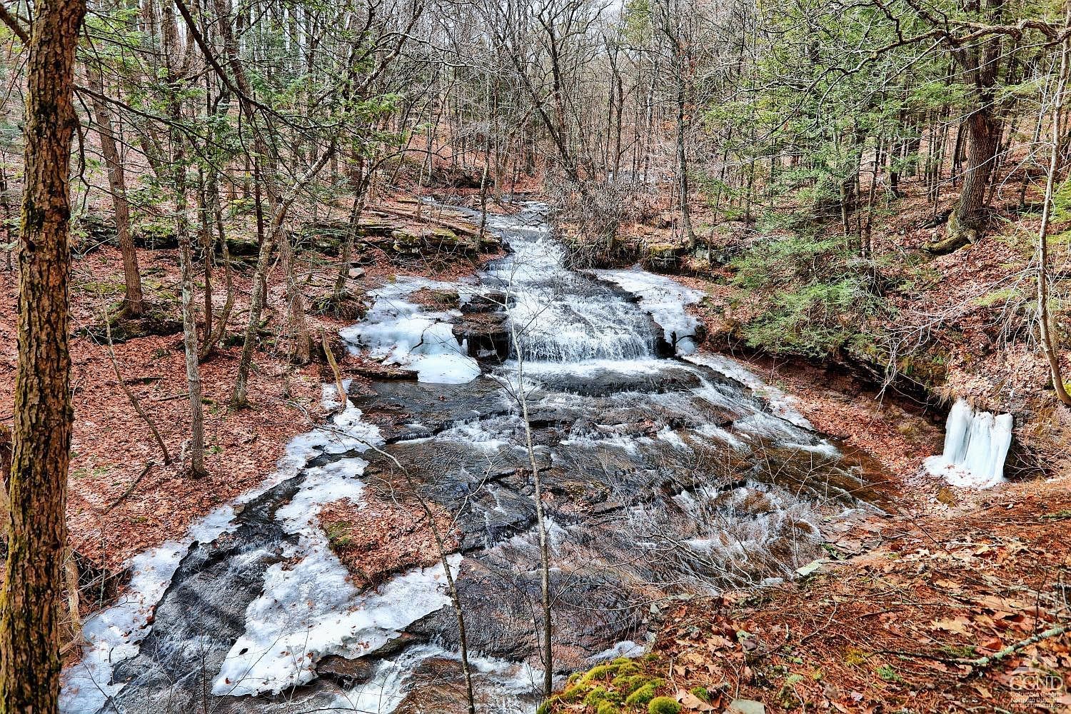 128 W Moorehouse Rd Cairo, NY 12413 - Thumbnail 2