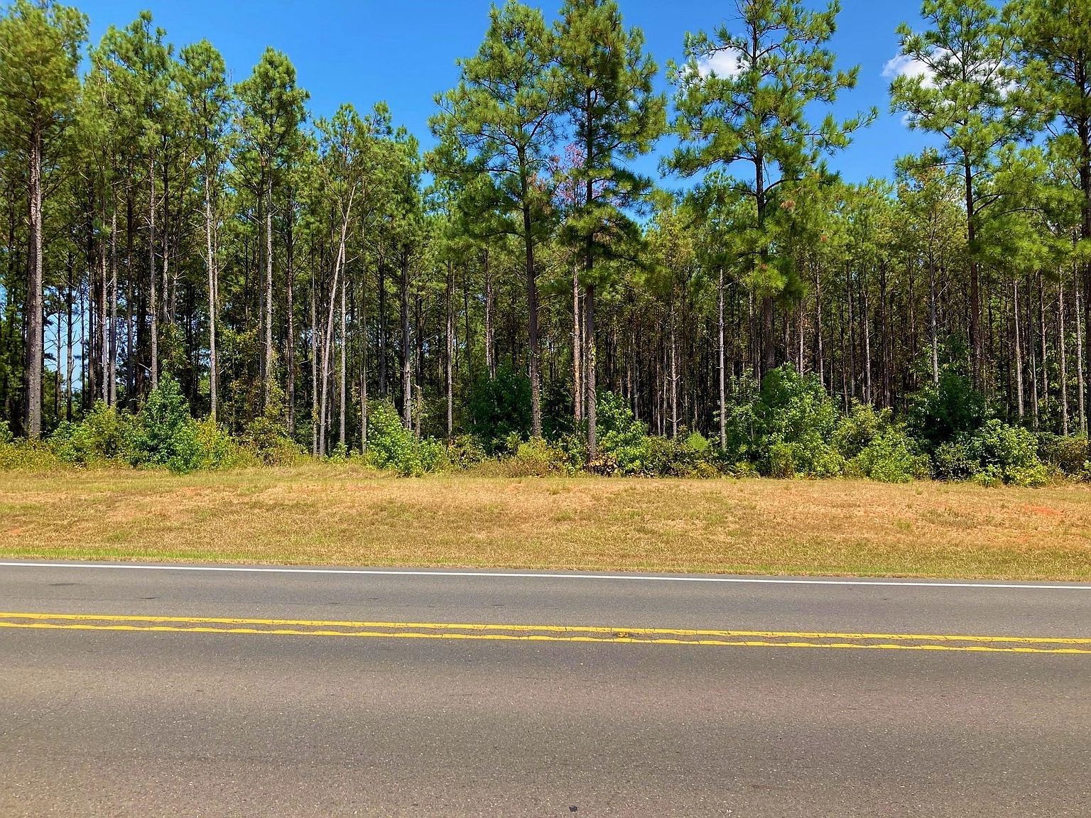 13886 Highway 157 Haughton, LA 71037  | Land/Lot