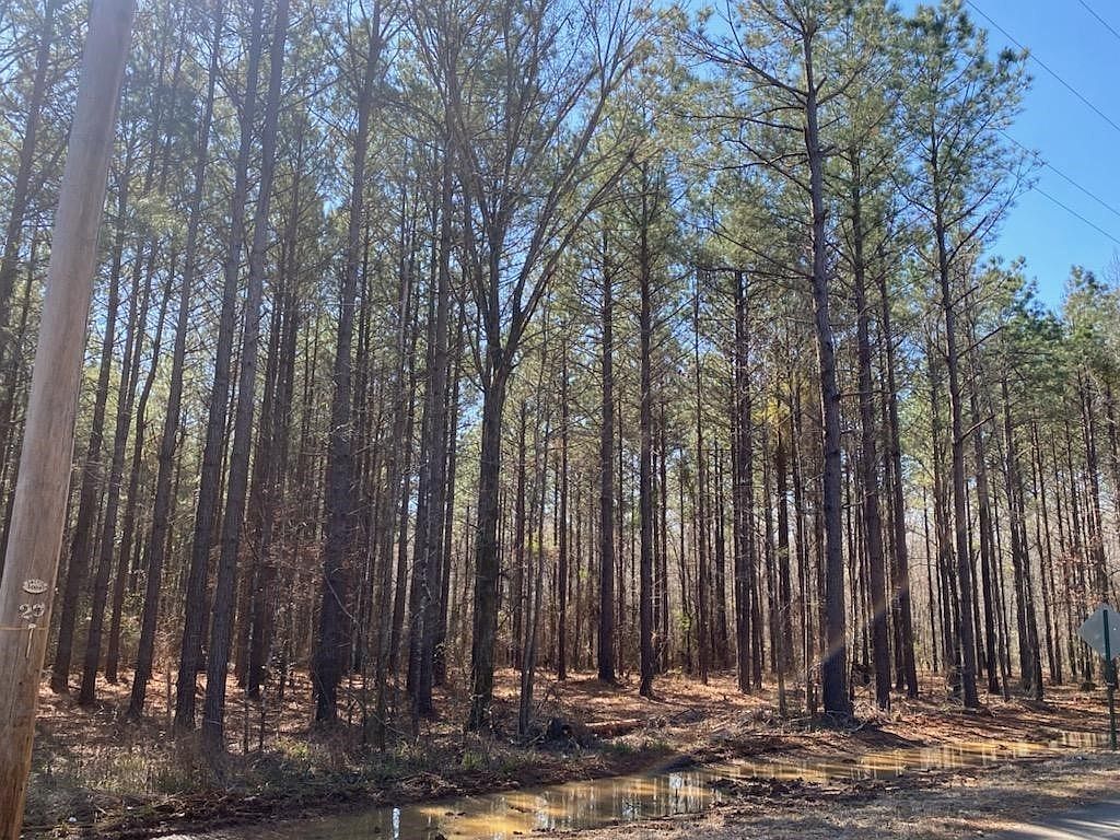 460 Cotton Valley Rd Haughton, LA 71037  | Land/Lot
