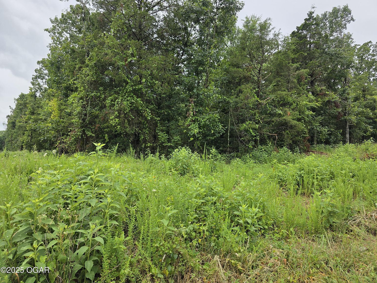 LOT 261 Saratoga Ln Shell Knob, MO 65747 - Thumbnail 2