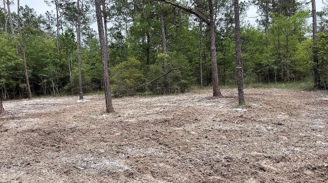 0 Langham Rd, Kountze, TX, 77625 - Thumbnail 2