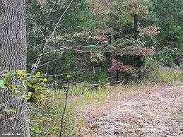 Lot 1, 3, 7 Gibbons Sub, Bryans Road, MD 20616  | Land/Lot