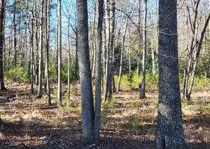 38280 Chaptico Road, Mechanicsville, MD, USA  | Land/Lot
