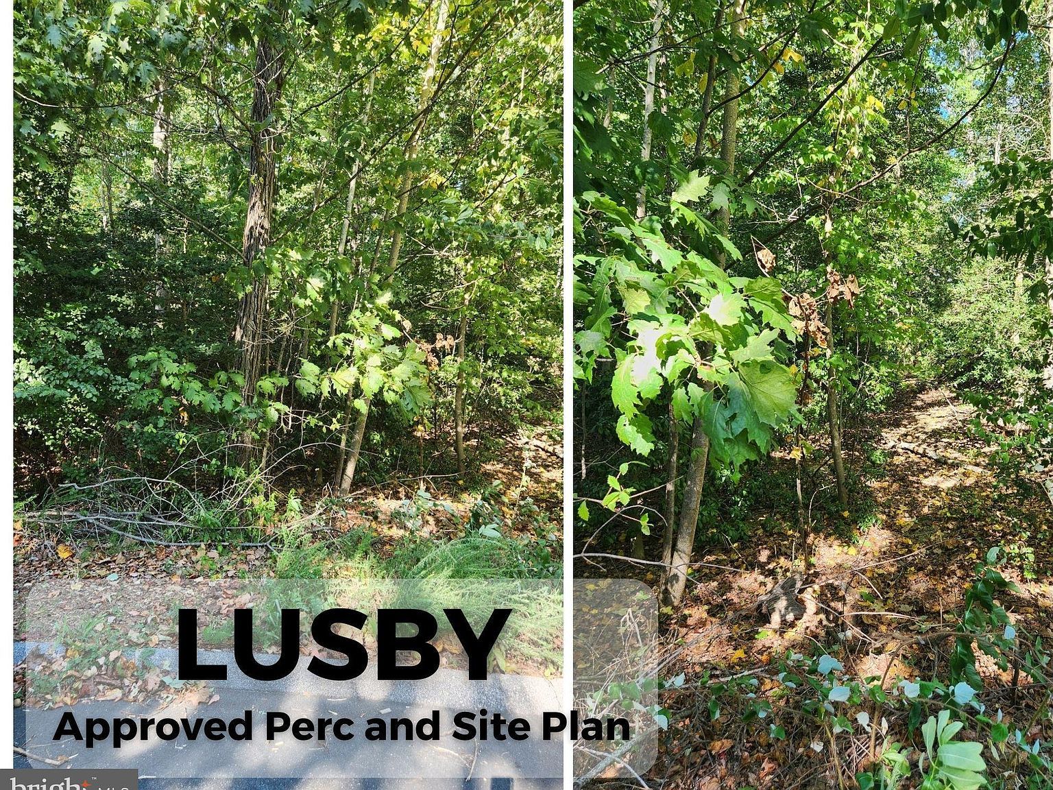 513 Cody Trl Lusby, MD 20657 - Thumbnail 2