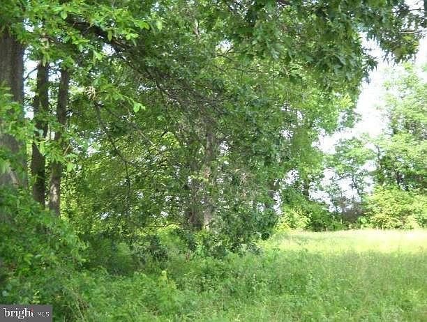 36645 Woodbush Dr Avenue, MD 20618 | Land/Lot