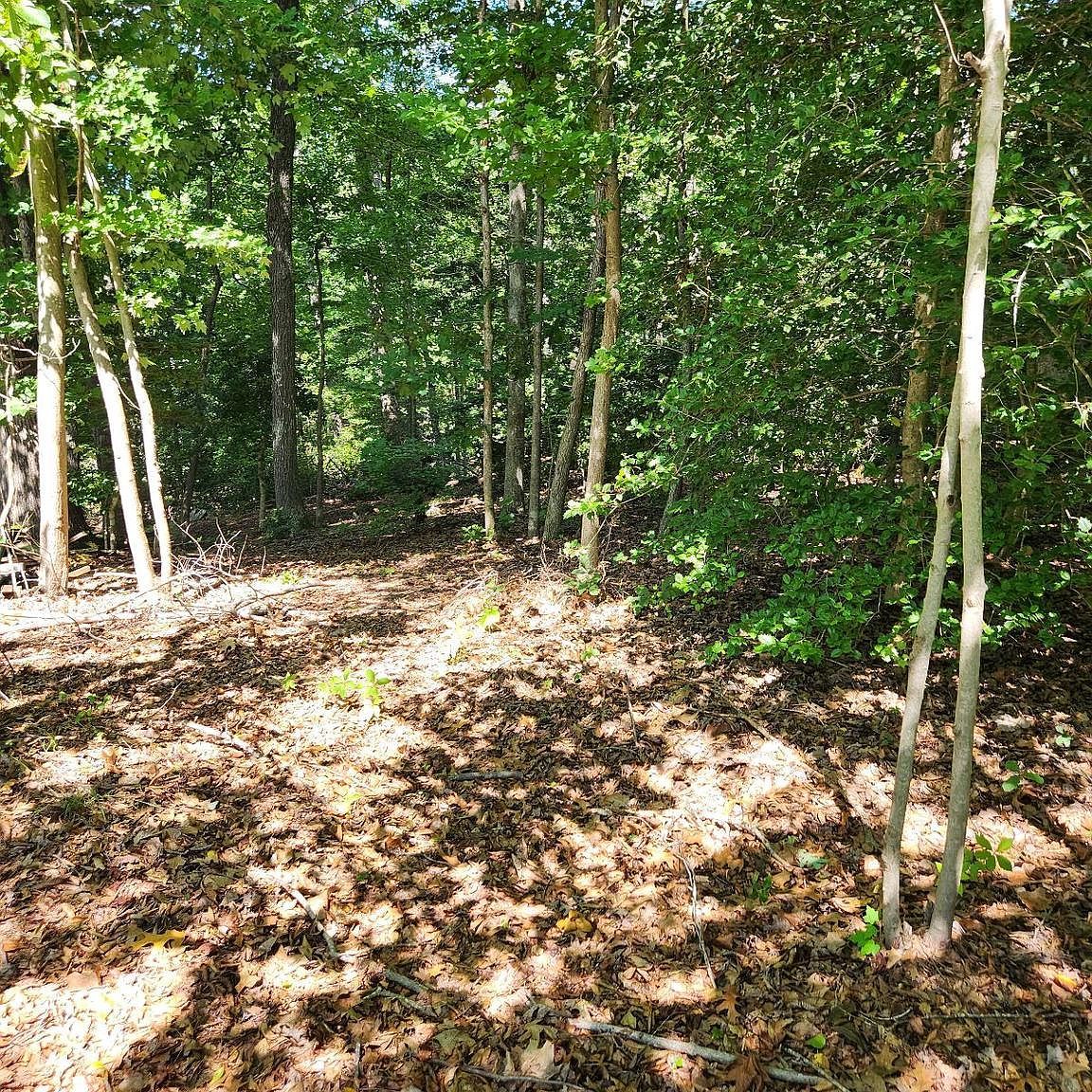 646 White Rock Rd Lusby, MD 20657 - Thumbnail 2