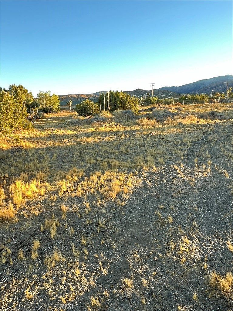 0 Elsinore Rd Pinon Hills, CA 92372 - Thumbnail 2