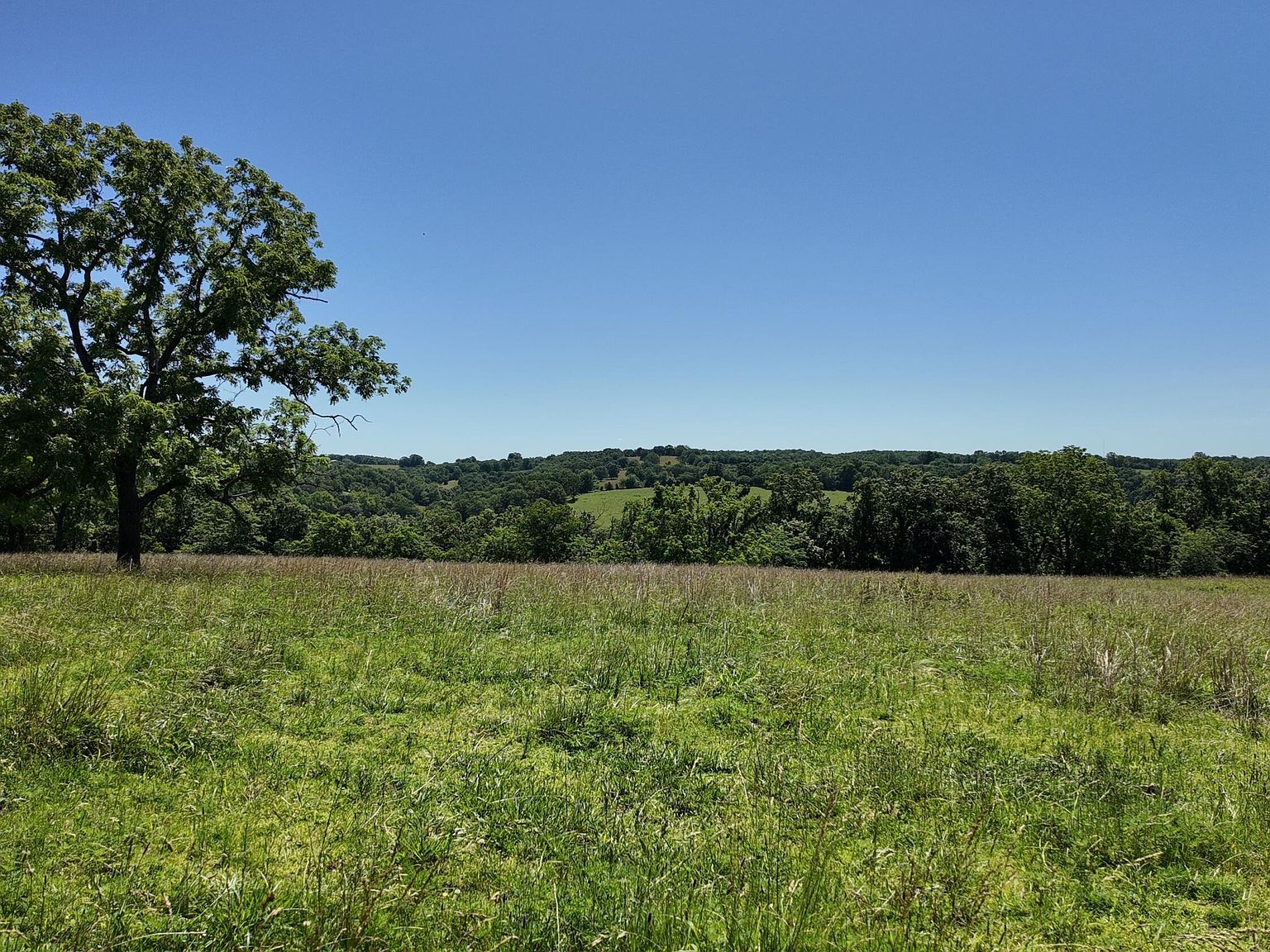 0 County Road 945 Thornfield, MO 65762 - Thumbnail 2