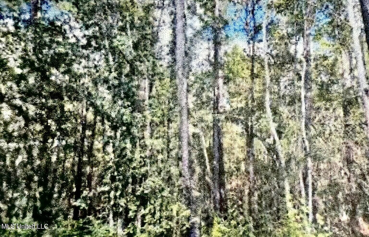 Jeff Rd Lot 4-17 Gulfport, MS 39503 | Land/Lot