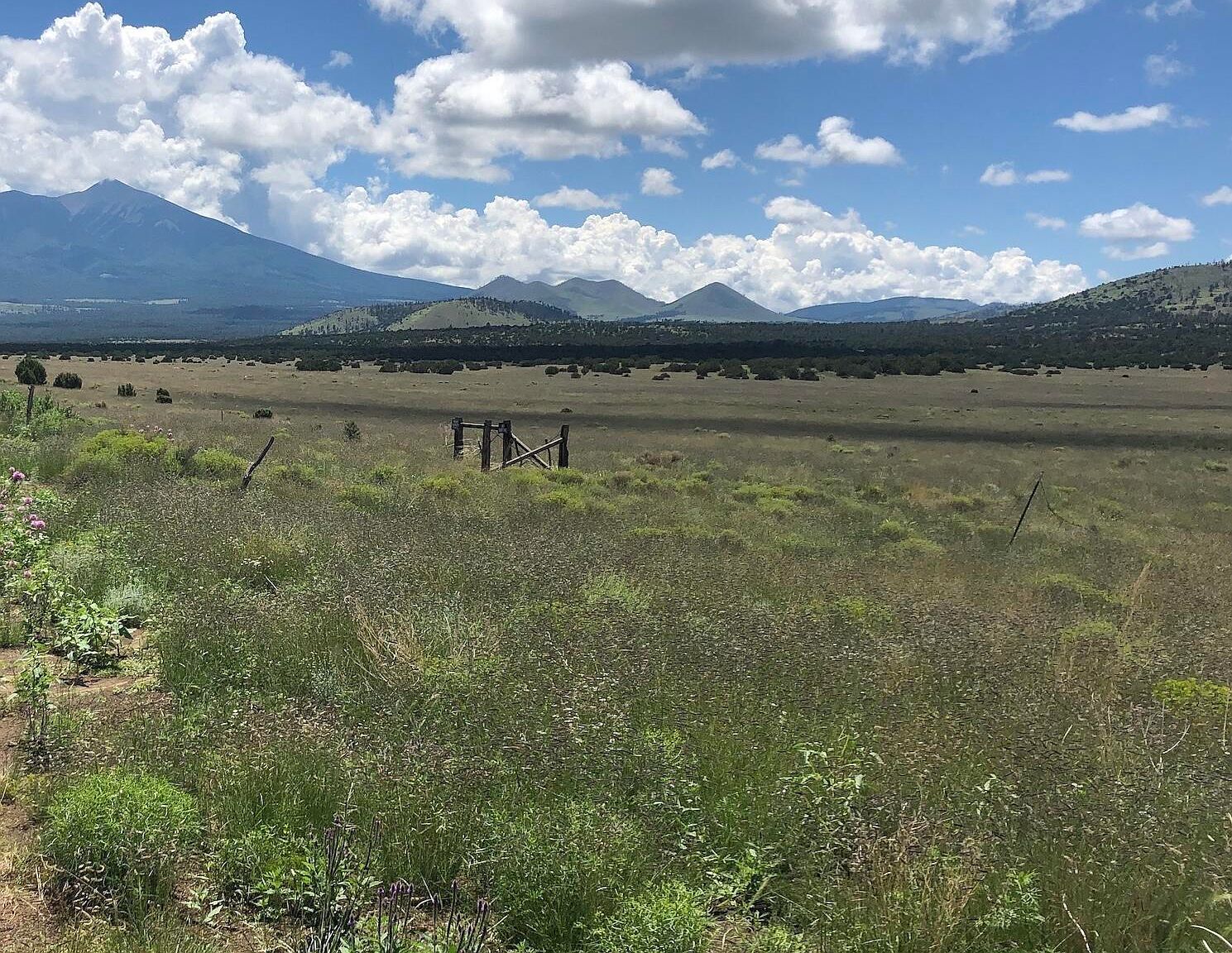 0 Fs Rd #548 Flagstaff, AZ 86001 - Thumbnail 2