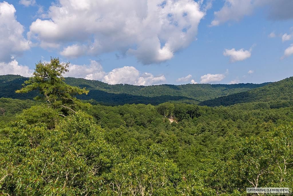 98 Blazing Star Dr Glenville, NC 28736 - Thumbnail 2